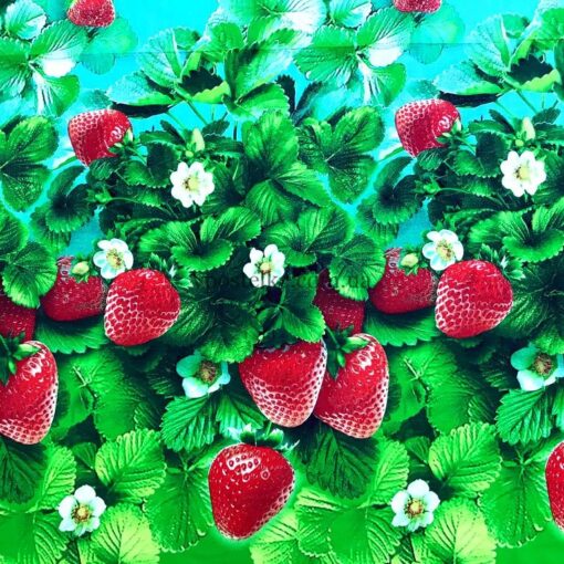 Ткань с клубникой 3