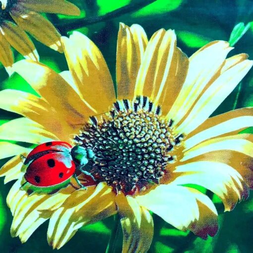 Ткань с ромашками 5