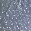 Ранфорс Гаммы, ноты белые на сером 240 см фото