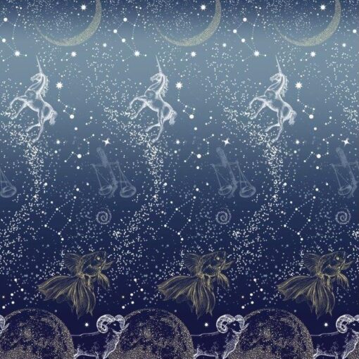 Ткань Млечный путь, созвездия, знаки Зодиака фото 2