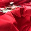 Постільна білизна червоного кольору ранфорс Туреччина фото